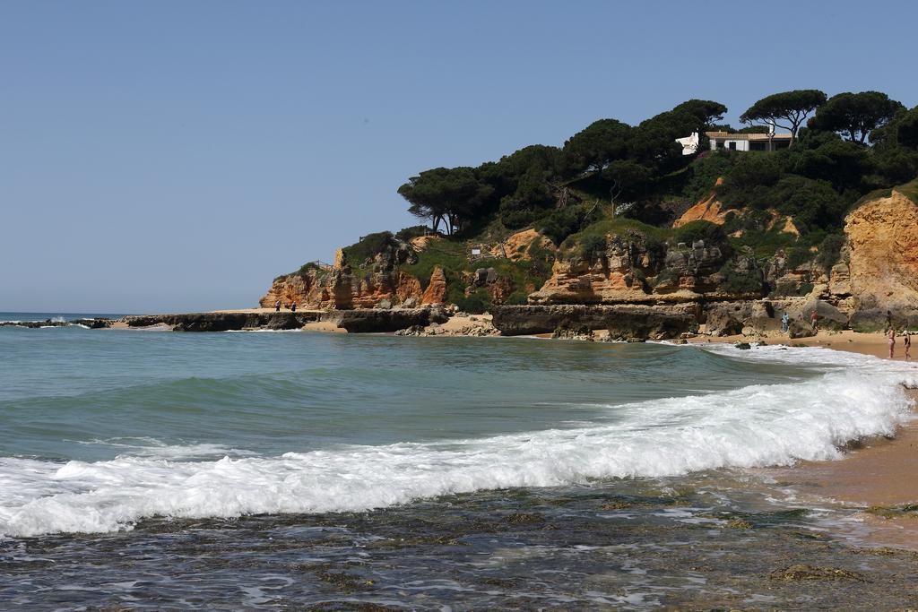 Mira Parque Bed & Breakfast Albufeira Ngoại thất bức ảnh