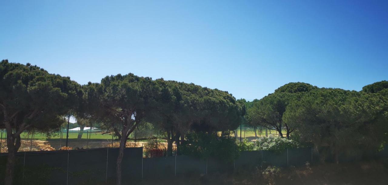 Mira Parque Bed & Breakfast Albufeira Ngoại thất bức ảnh