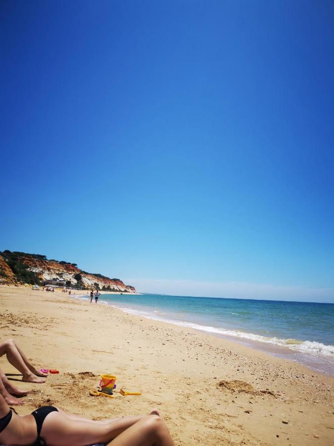 Mira Parque Bed & Breakfast Albufeira Ngoại thất bức ảnh
