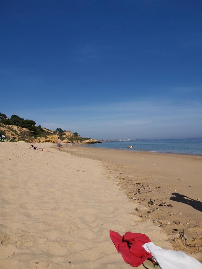 Mira Parque Bed & Breakfast Albufeira Ngoại thất bức ảnh